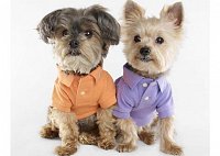 Одежда для собак от Ralph Lauren
